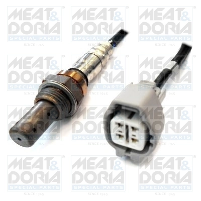 Oxygen Sensor